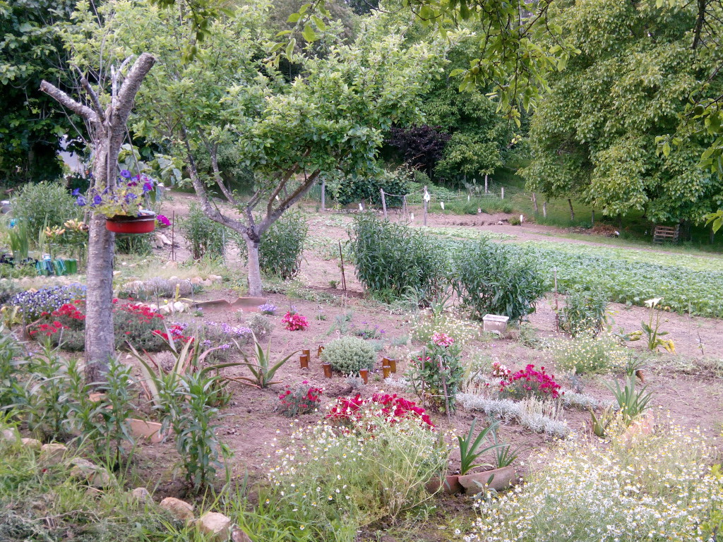 Vista del jardín y huerta