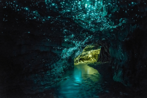 Cueva Waitomo_01