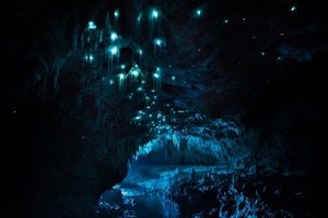 Cueva Waitomo_02