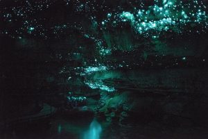 Cueva Waitomo_03