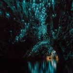 Cueva Waitomo_07